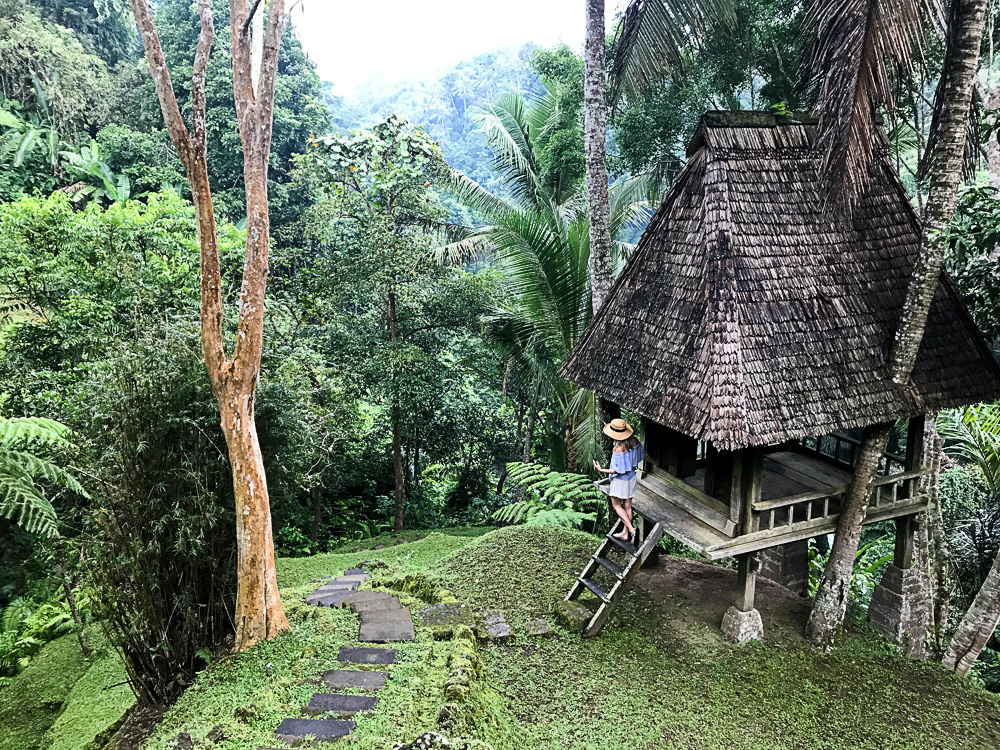 Como Shambala Resort Ubud - inzone.biz
