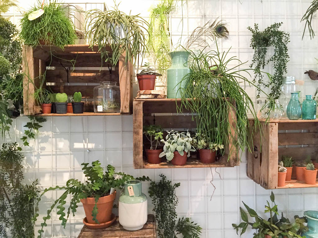 Gesund Essen in Amsterdam - Restaurants, Cafés und Hotspots - inzone.biz