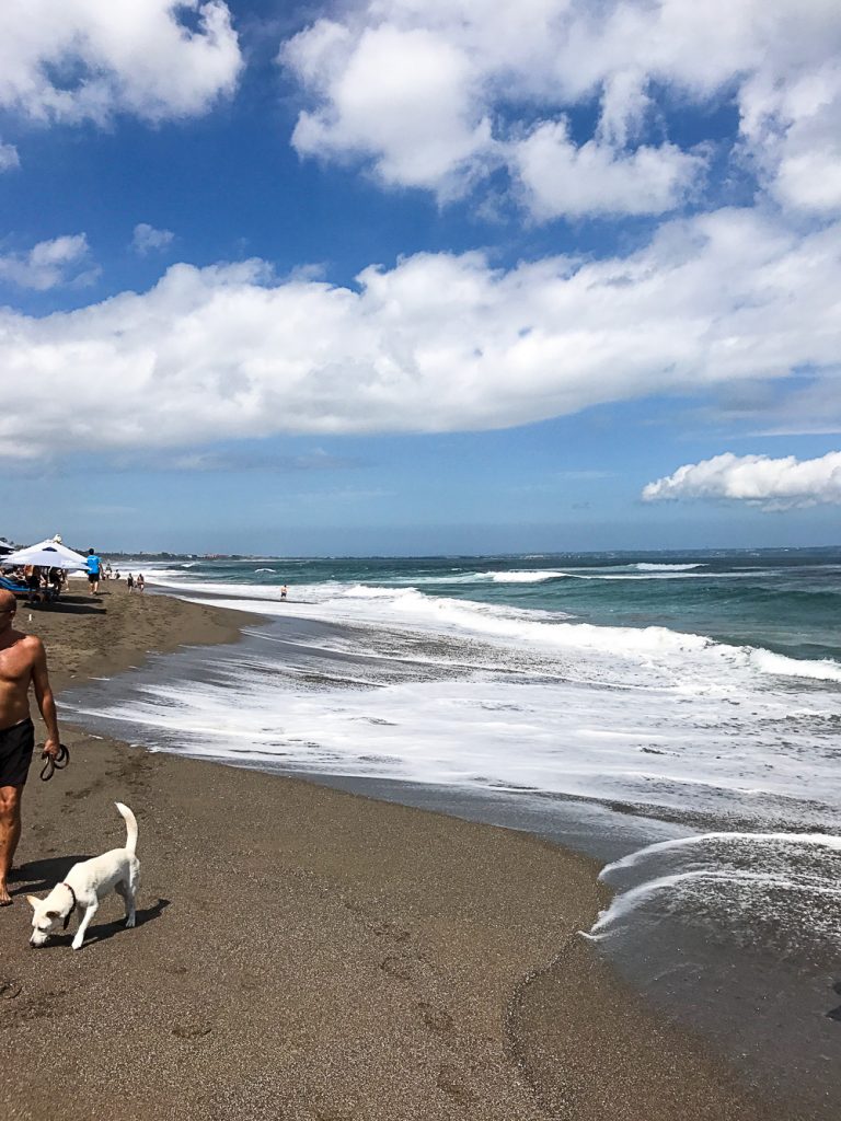 Gesunder Bali Guide (Teil 2) - Canggu: gesunde Unterkunft, Restaurants & Warungs - inzone.biz