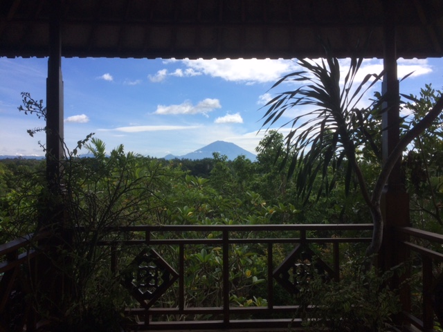 Gesunder Bali Guide (Teil 3) - Ubud, das gesunde Yoga- und Natur-Paradies - inzone.biz