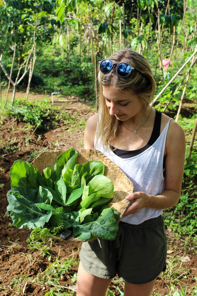 Gesunder Bali Guide (Teil 3) - Ubud, das gesunde Yoga- und Natur-Paradies - inzone.biz