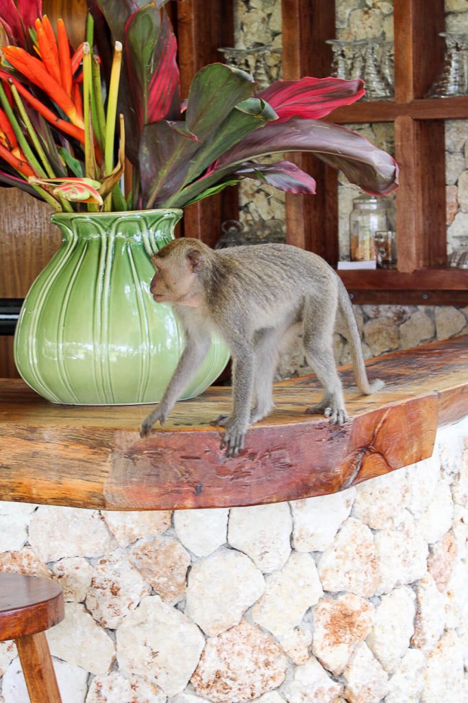 Gesunder Bali Guide - Uluwatu & Süd-Bali - Restaurants, Eco Lodges und Health Spots - inzone.biz