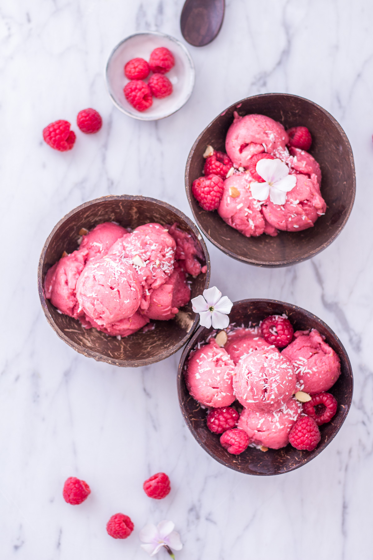 2-Zutaten Himbeer-Nicecream - rein pflanzlich, vegan, glutenfrei, ohne raffinierten Zucker - inzone.biz