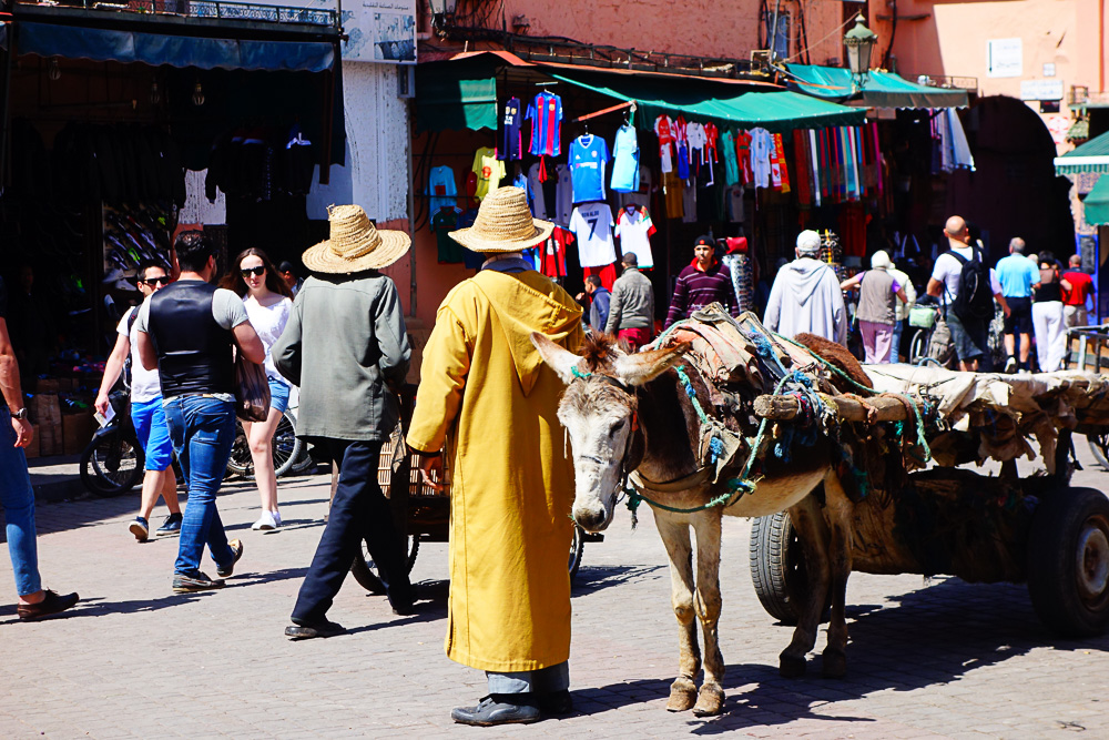 Marrakech Travel Guide - Mein Reisetagebuch, Tipps und Erfahrungen in Marrakesch - inzone.biz