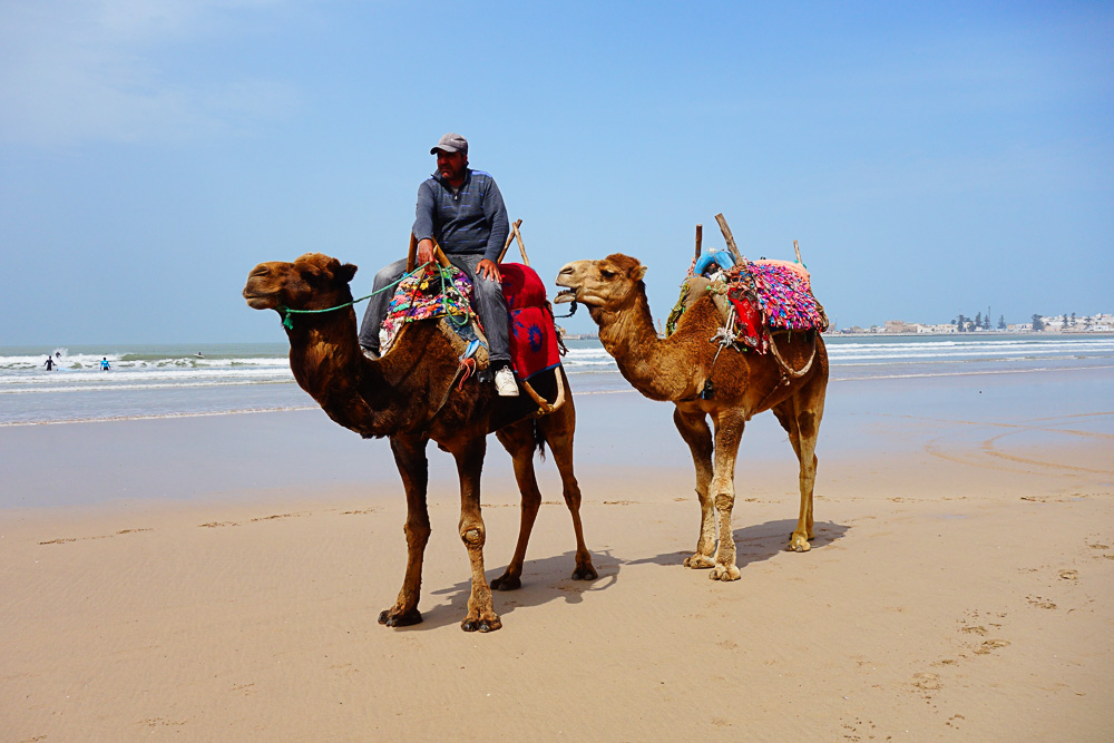Marrakech Travel Guide - Mein Reisetagebuch, Tipps und Erfahrungen in Marrakesch - inzone.biz