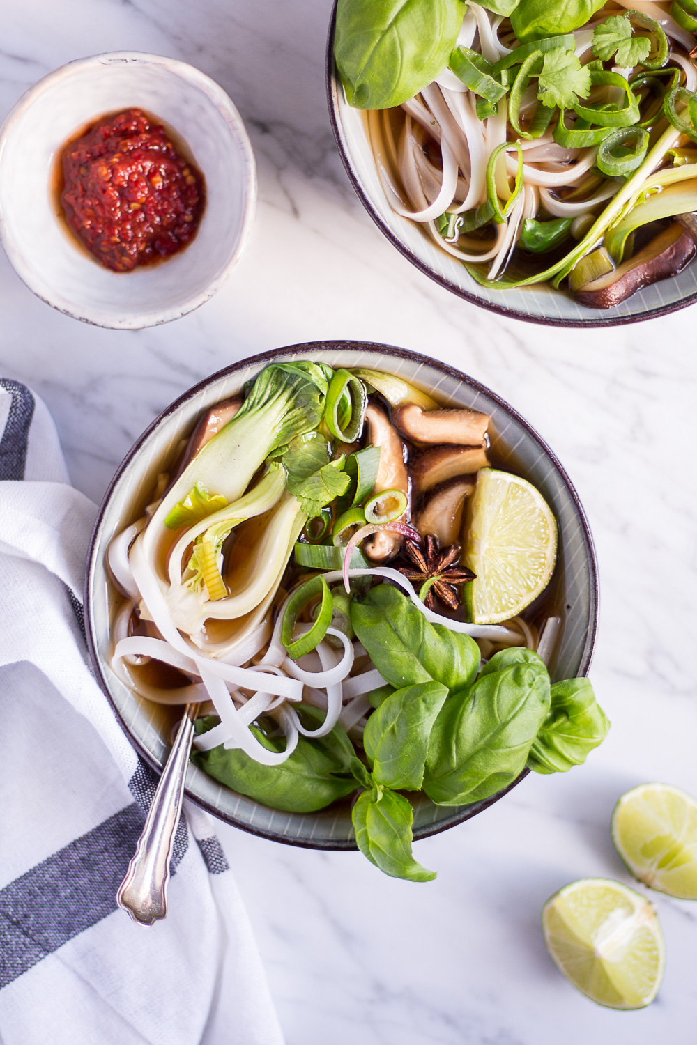 Vegetarische Pho- rein pflanzlich, vegan, glutenfrei, ohne raffinierten Zucker - inzone.biz